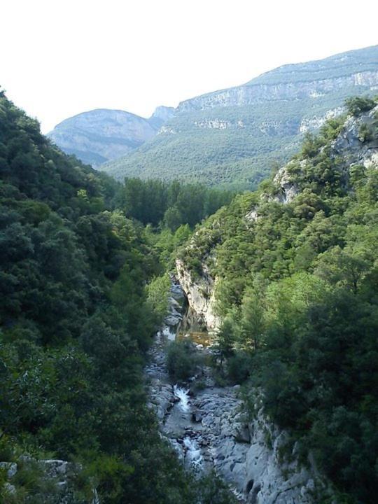 Hostal De La Rovira Ош Экстерьер фото